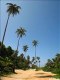 Surfer Beach - AGUADILLA